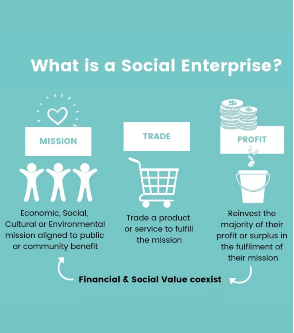 What is a social enterprise?